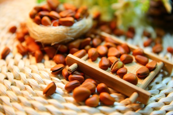 Pine Nut Shells Increase Physical Endurance