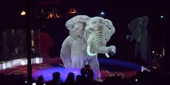 A Circus In Germany Refuses To Use Real Animals, Uses Holograms Instead