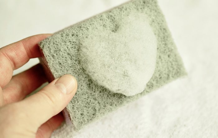 Your Kitchen Sponge May Hold Answer To Beating Antibiotic-Resistant Bacteria, Study Finds