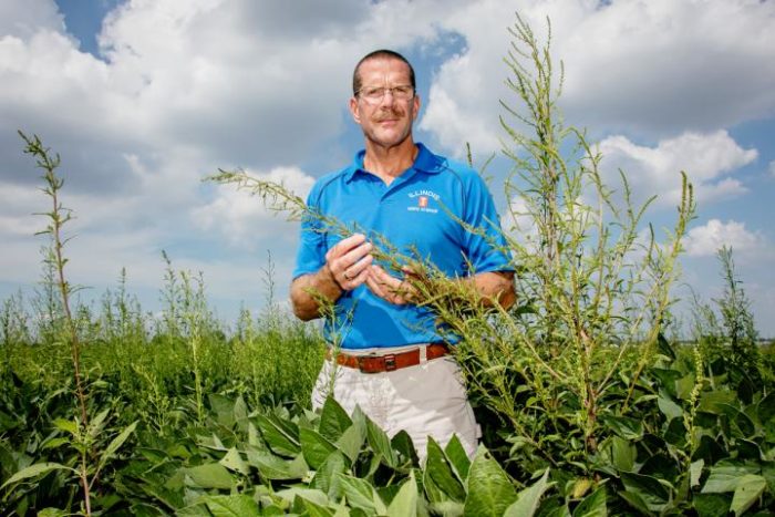 Superweed Resists Another Class of Herbicides, Study Finds