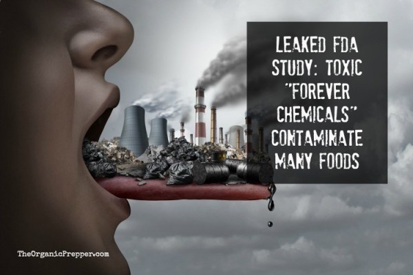 Leaked FDA Study: Toxic “Forever Chemicals” Contaminate Many Foods