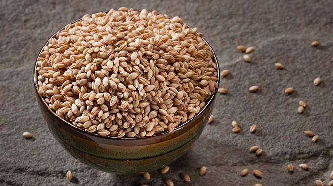 Toasted Wheat Berries: The Multi-Purpose Prep That Will Sustain You!