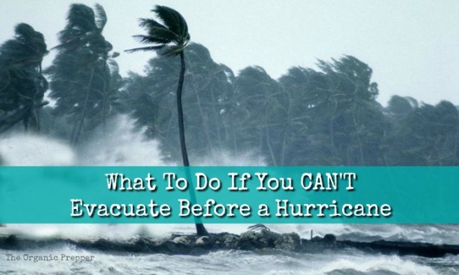 What To Do If It’s Too Late and You Can’t Evacuate Before a Hurricane