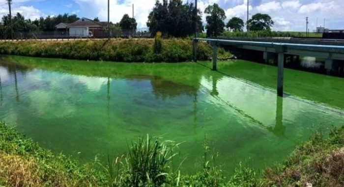 Army Corps Admits to Dumping Toxic Water Into Florida Estuaries Without Telling Public