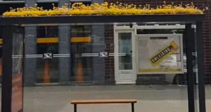 This City Turned Its Bus Stops Into “Bee Stops” to Protect Bees and Reduce Pollution