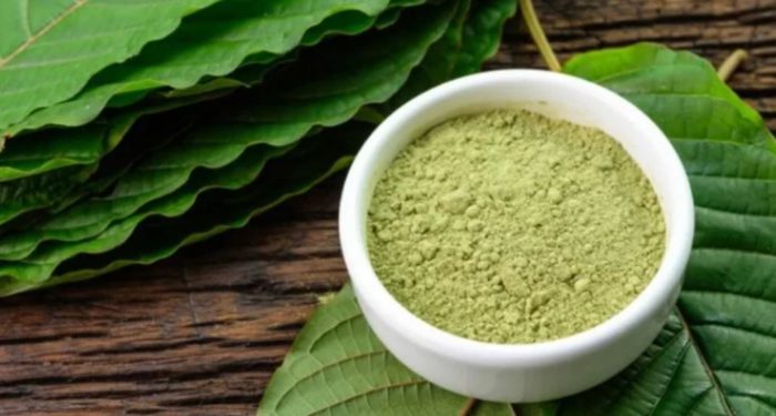 They Couldn’t Ban Kratom, So Now the Feds Are Trying to Stop the Source