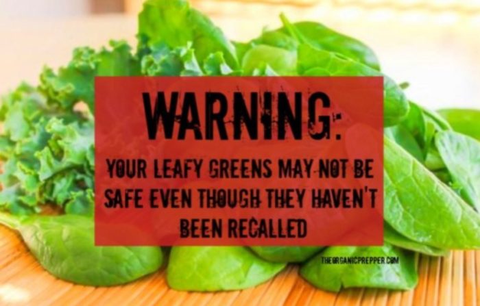 WARNING: Your Leafy Greens May Not Be Safe Even Though They Haven’t Been Recalled