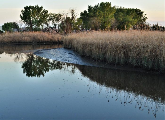 ‘Legacy’ Mercury Pollution Still Contaminating New Jersey Meadowlands Waters