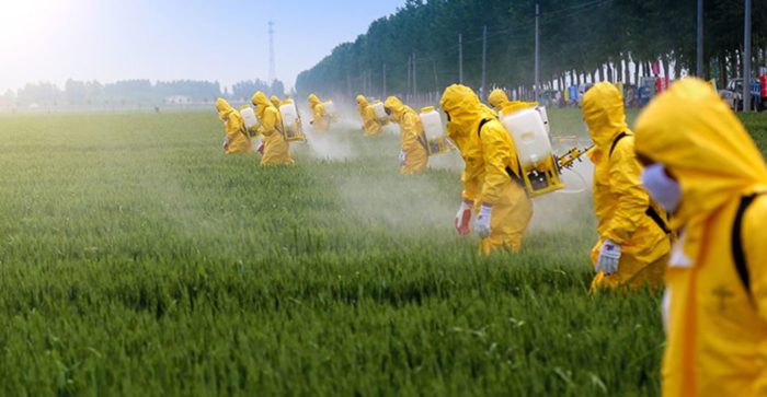 Glyphosate May Affect Human Gut Microbiota