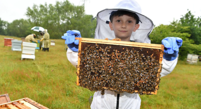 This 5 Year Old Became Britain’s Youngest Certified Beekeeper