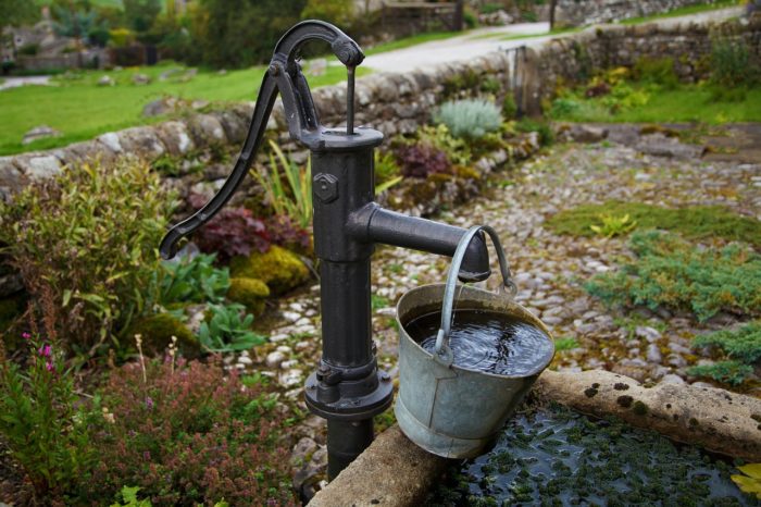 5 Signs Your Garden Isn’t Getting Enough Water and How To Correct It