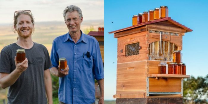 Father-Son Duo Help Create 51,000 New Beehive Colonies With Amazing Invention — Honey on Tap from the Hive