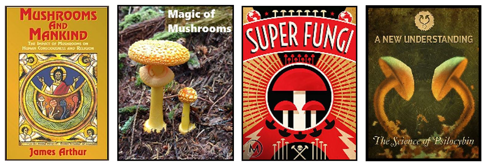 Film Mushrooms Heal You and the