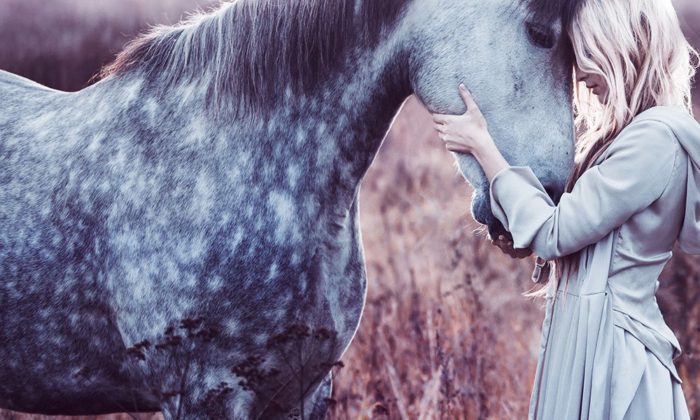 Study Shows That Horses Understand Our Emotions & Remember Us Deeply