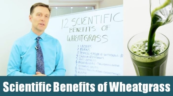 Amazing Benefits of Wheatgrass Juice Powder!