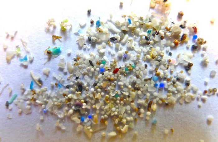 Microplastics Exposure May Lead to Dementia-like Symptoms