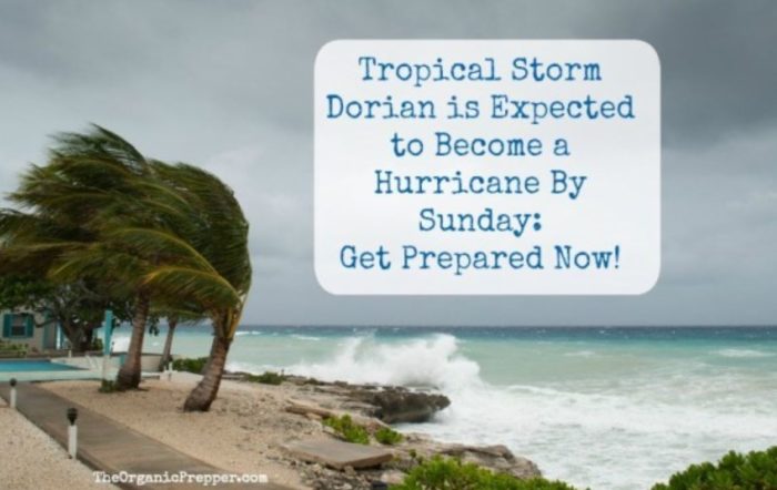 Tropical Storm Dorian is Expected to Become a Hurricane By Sunday: Get Prepared Now!