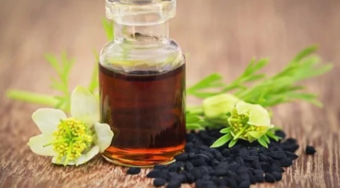 Black Seed Oil Proven as Natural Kidney Stone Treatment in Human Study