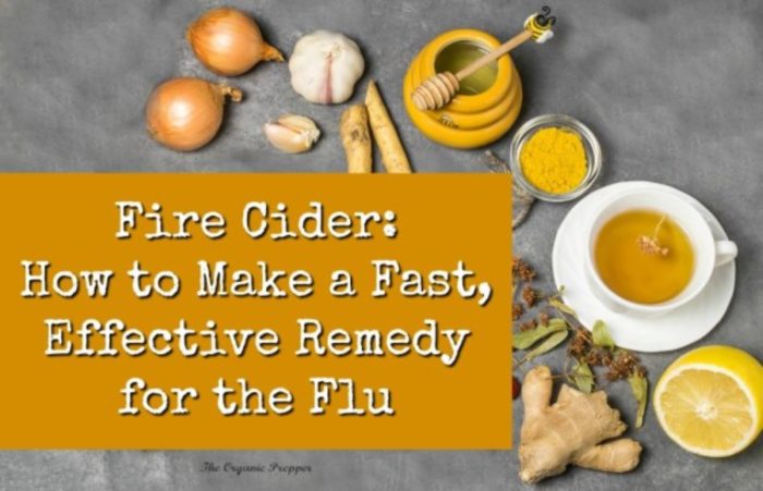 Fire Cider: How to Make a Fast, Effective Remedy for the Flu