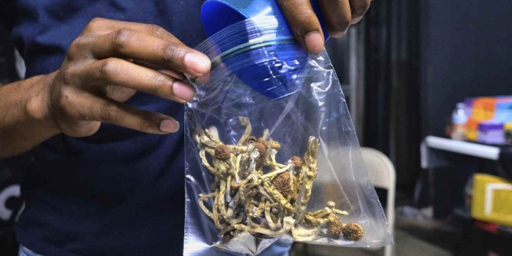 In Canada, You Can Now Buy Magic Mushrooms From a Dispensary