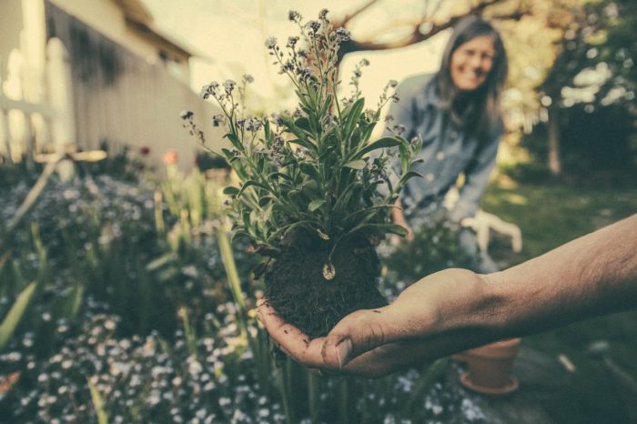 Anxiety and Depression: Why Doctors are Prescribing Gardening Rather than Drugs