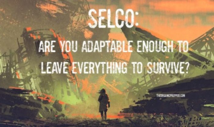Selco: Are You Truly Adaptable Enough to Leave Everything Behind to Survive?