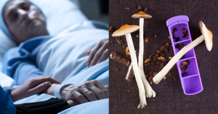 Scientists Suggest That Psychedelics Could Revive People From Vegetative States