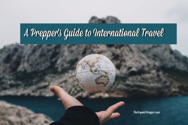 A Prepper’s Guide to International Travel