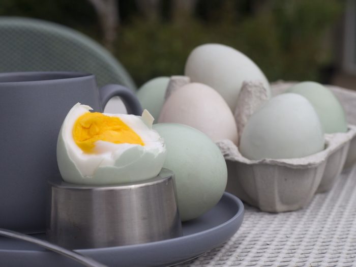 What You Need to Know About Duck Eggs Vs. Chicken Eggs