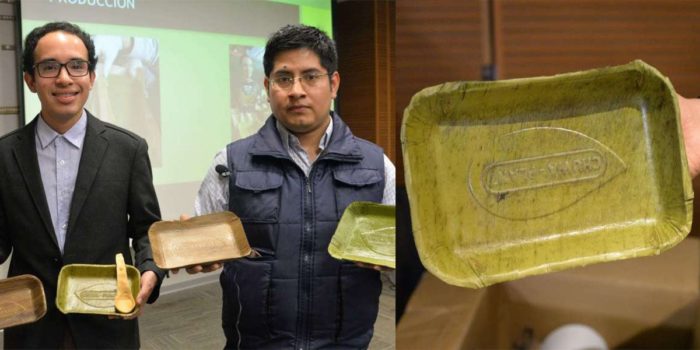 Compostable Plates Made From Banana Leaves Launched By Peruvian Group