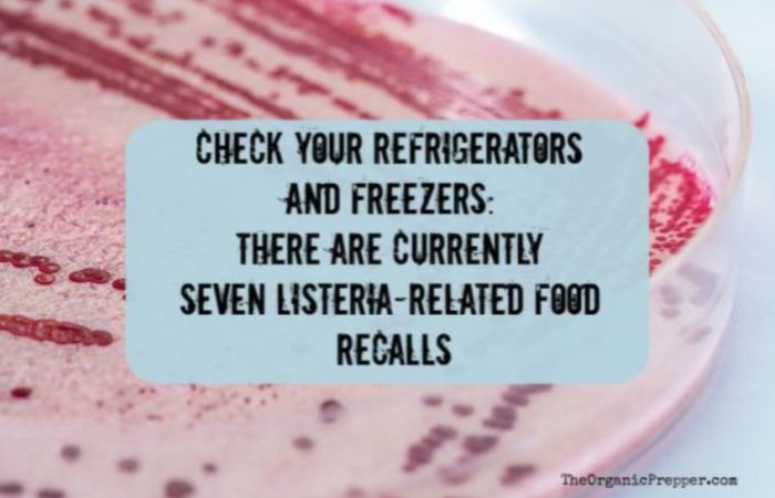 Check Your Refrigerators and Freezers: There Are Currently Seven Listeria-Related Food Recalls