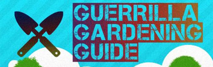 How To Guerrilla Garden Like An Expert [Infographic]