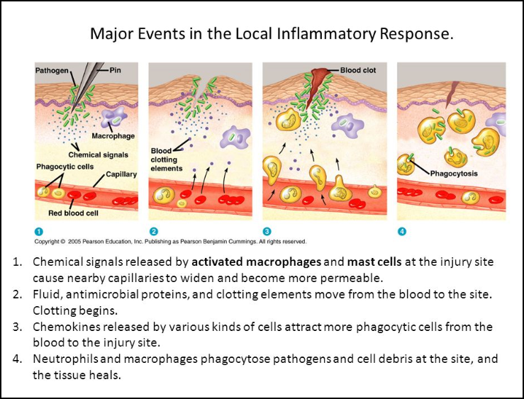Turmeric & Inflammation Do’s and Don’ts!