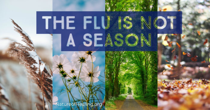The Flu Is NOT A Season