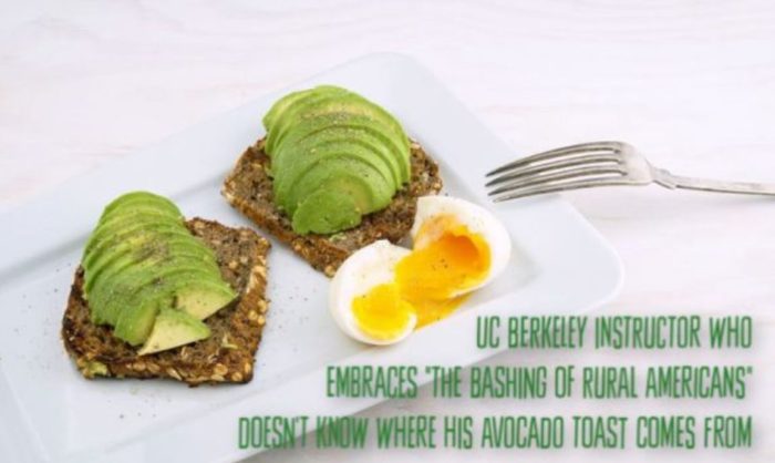 UC Berkeley Instructor Who “embraces the bashing of rural Americans” Doesn’t Understand Where His Avocado Toast Originates