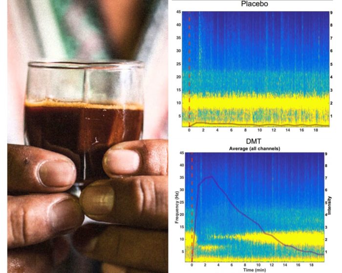 Ayahuasca Compound Changes Brainwaves to Vivid ‘Waking-Dream’ State