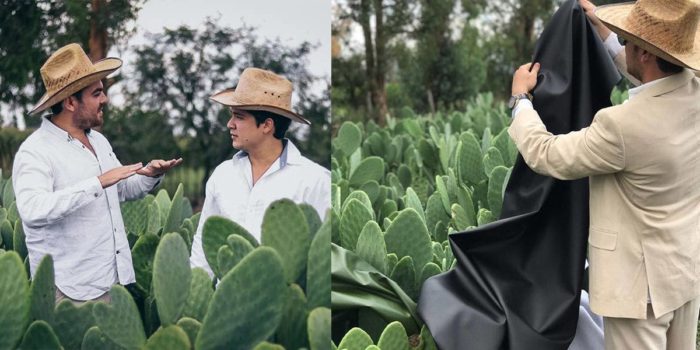Designers From Mexico Create Vegan Leather Made From Cactus