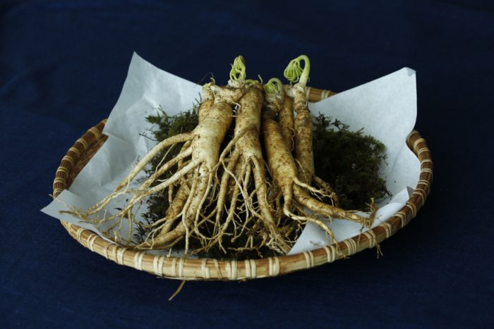 Traditional Chinese Medicine Herb May Fight Obesity
