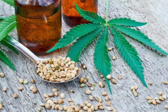 Top 7 Health Benefits Of Consuming Hemp Seed and Protein