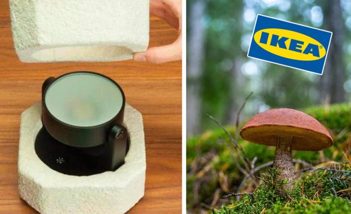 IKEA Plans To Switch From Styrofoam Packaging To A Mushroom-Based Alternative