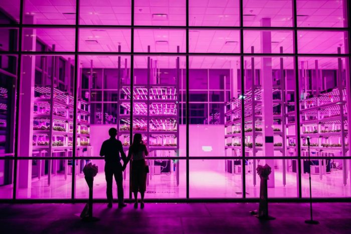 Indoor Farms Could Solve Urban Food Shortages