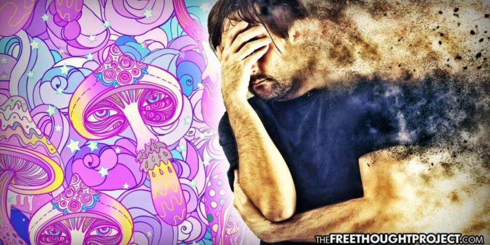 FDA Designates Psilocybin as “Breakthrough Therapy” for Severe Depression