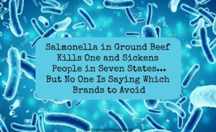 Salmonella in Ground Beef Kills One and Sickens People in Seven States … But No One Is Saying Which Brands to Avoid