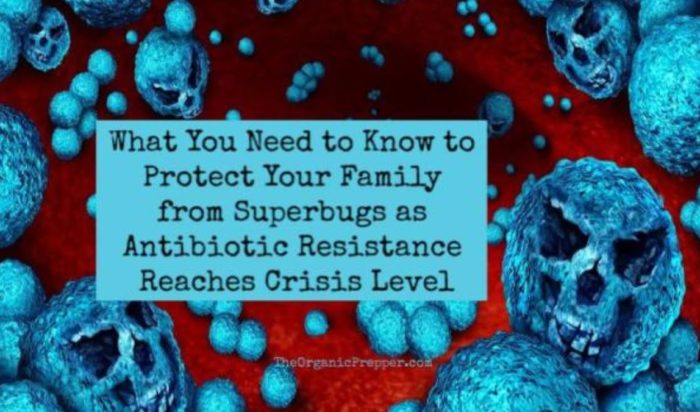 What You Need to Know to Protect Your Family from Superbugs as Antibiotic Resistance Reaches Crisis Level