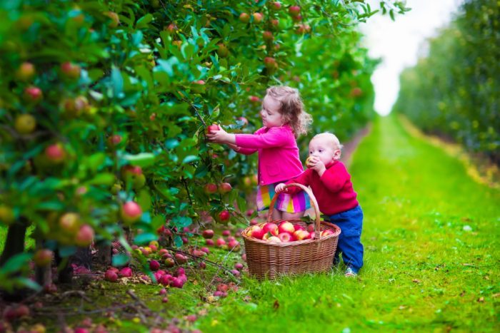 Scientists Put Family On Organic Diet & Witness A Dramatic Drop In Pesticide Levels