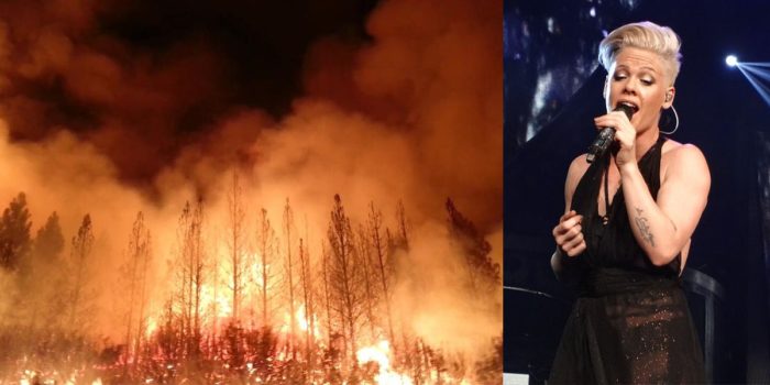 Pop Star “Pink” Pledges $500,000 Donation To Fight Australian Fires