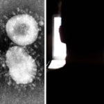 The Coronavirus — Containing Pandemic Fear