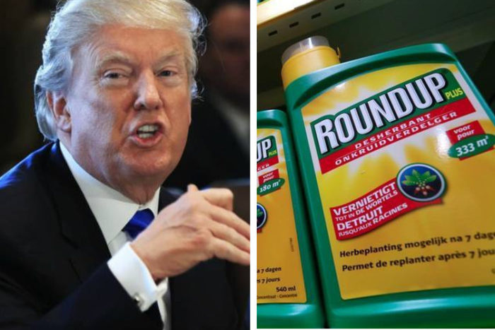 The Trump Administration Wants to Reverse Roundup Verdict, Protecting Bayer and Monsanto
