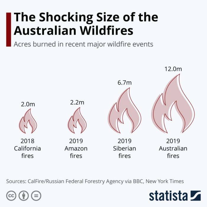 Australian Fires Biggest In The World And 5 Times Larger Than Amazon Fires