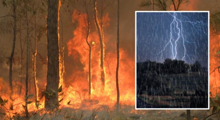 Heavy Rainfall Set to Drench Australia’s Fire-Ravaged Lands This Week